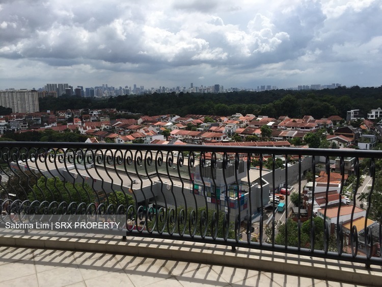 Thomson View Condominium (D20), Condominium #194688272